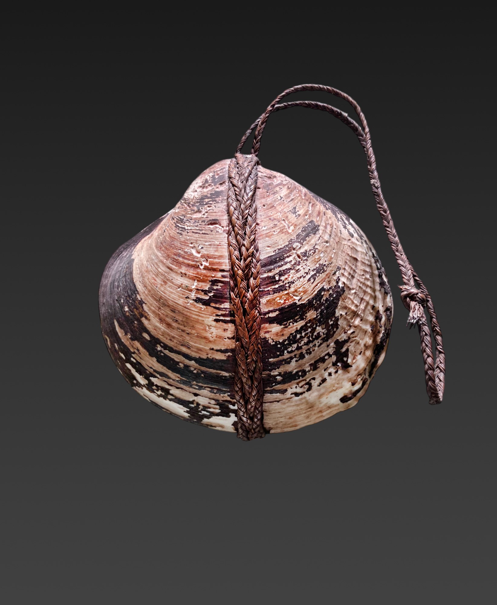 Fiji Clam Shell Amulet ex Nelly Van den Abbeele, 